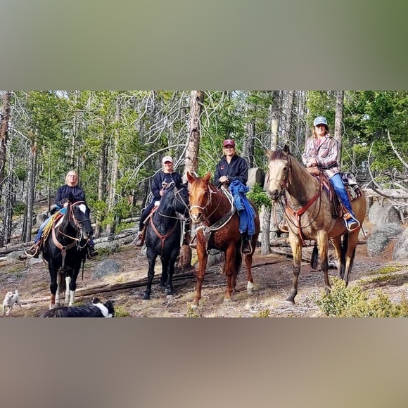 wildwesterns